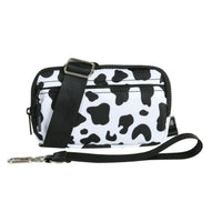Black and White Cow